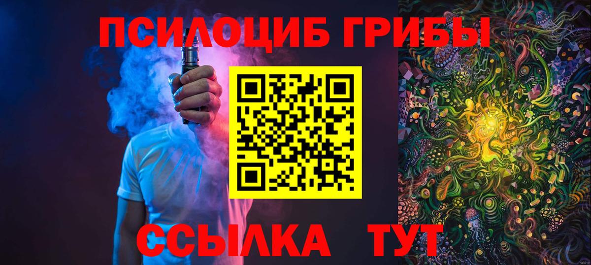 Псилоцибиновые грибы Cubensis Соль-Илецк