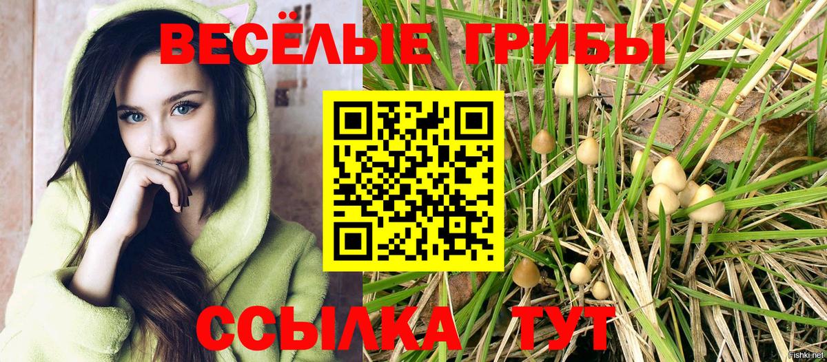 Соль-Илецк  Галлюциногенные грибы прущие грибы  Вход с VPN 